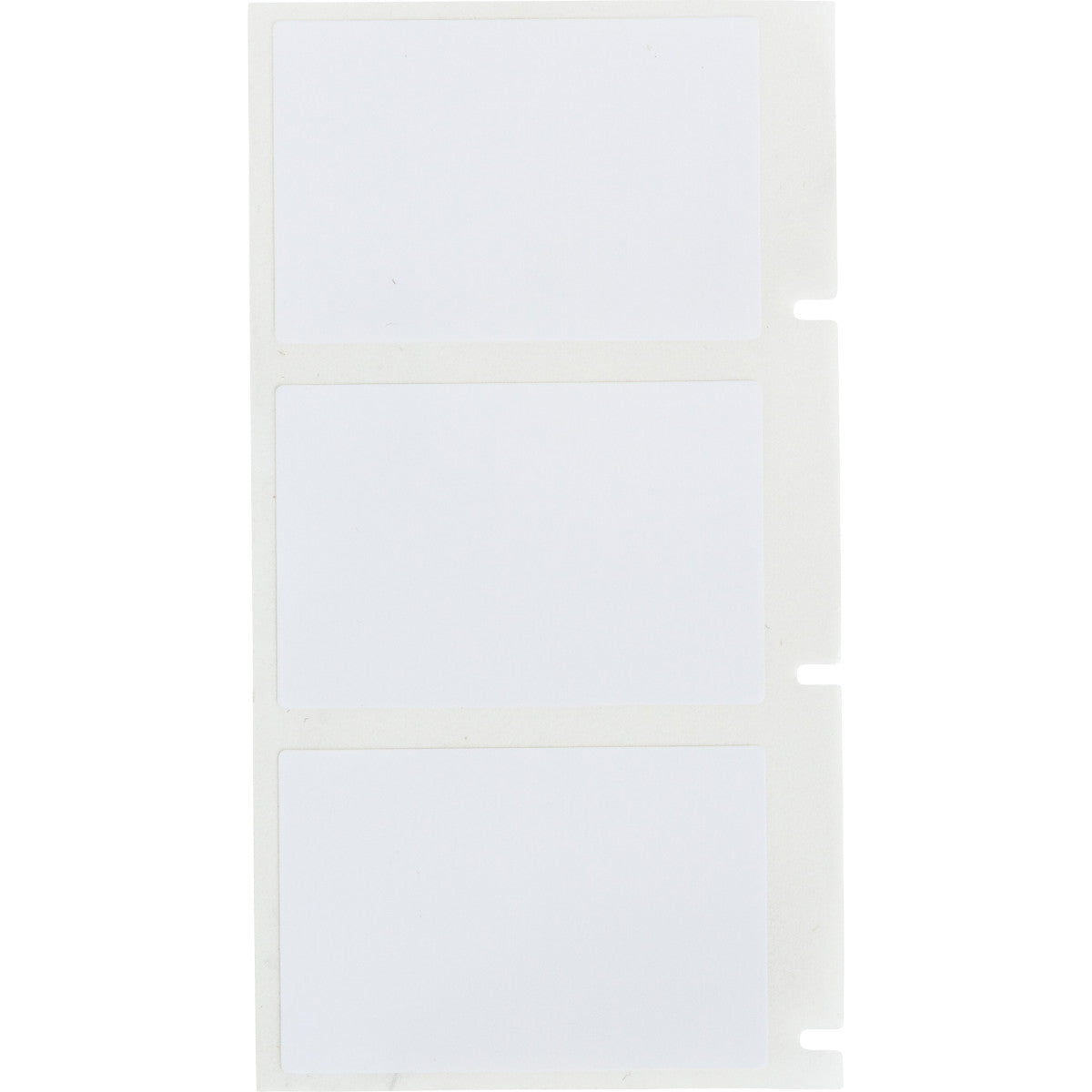 Étiquettes en polyester multi-usages avec adhésif extra fort pour M710 et BMP71