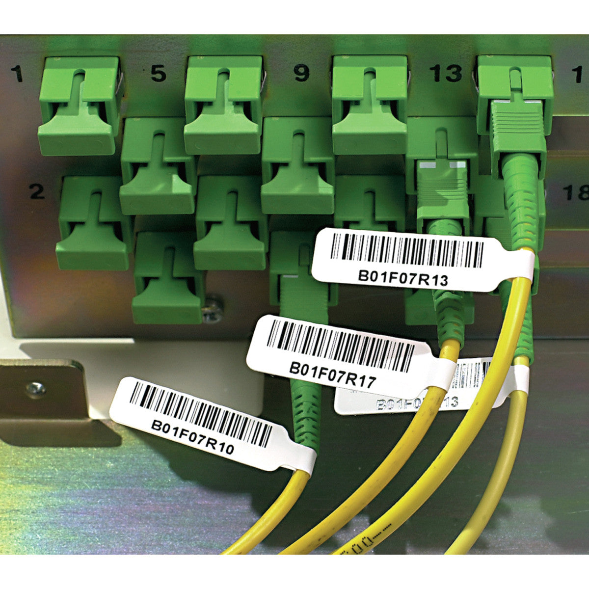 Polypropylen-Etikettenfahnen für die Drucker BBP33/i3300