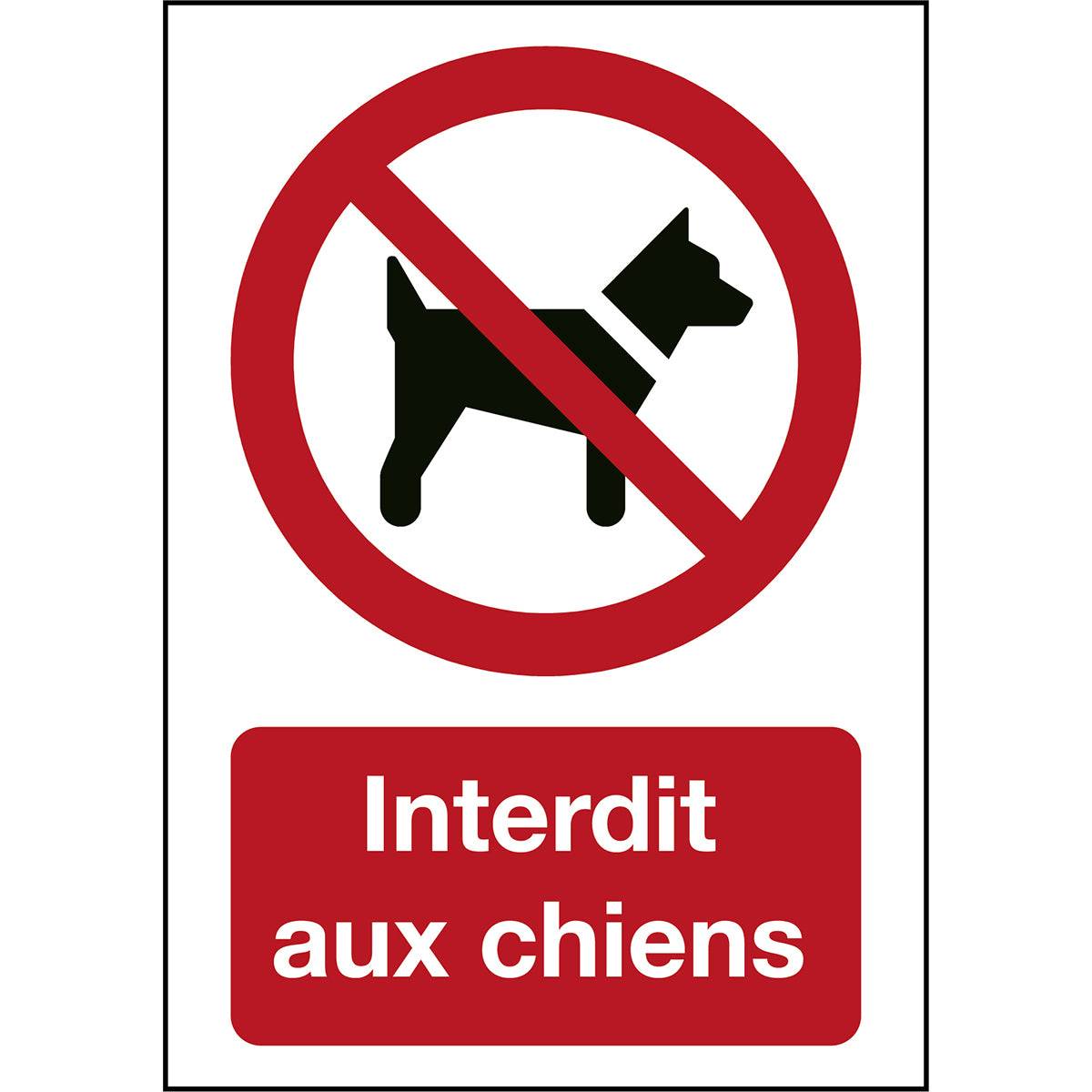 Signalisation ISO 7010 - Interdit aux chiens (produit francophone)