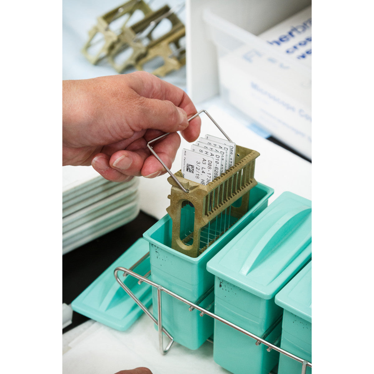 Für den Thermotransferdruck geeignete Etiketten