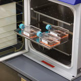 Étiquettes en polypropylène résistantes aux produits chimiques et à la température pour M610, M611 et BMP61